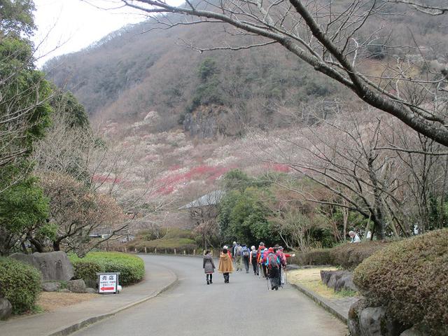 画像11: 岡田ガイドのハイキングコースで、 真鶴半島 へ行ってきました♪