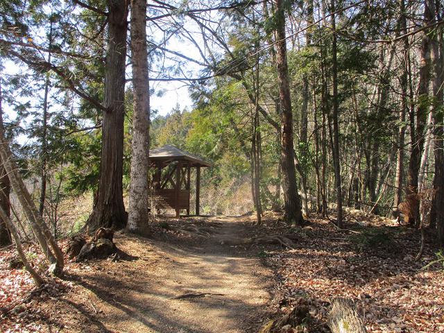 画像1: 来年春の企画素材を探して埼玉県小鹿野町の四阿屋山あたりを歩いてみました!