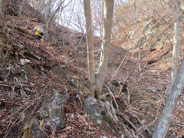 画像10: 来年春の企画素材を探して埼玉県小鹿野町の四阿屋山あたりを歩いてみました!