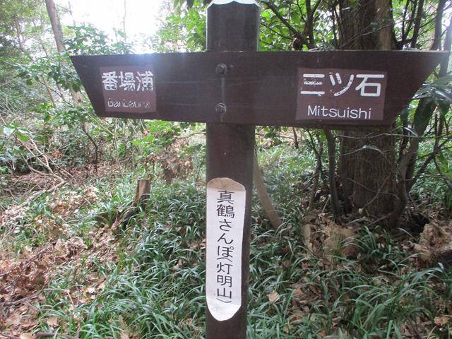 画像9: 岡田ガイドのハイキングコースで、 真鶴半島 へ行ってきました♪