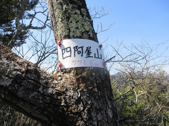画像8: 来年春の企画素材を探して埼玉県小鹿野町の四阿屋山あたりを歩いてみました!