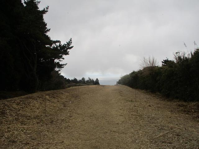 画像6: 3月の山旅会 岩戸山 の下見に行ってきました!