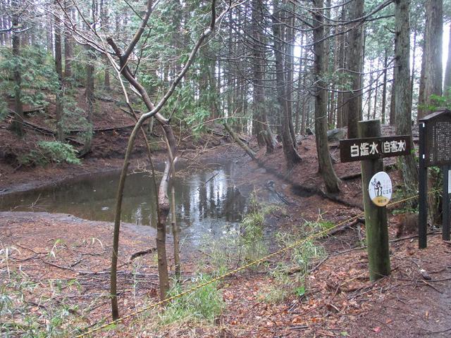 画像4: 3月2日に山旅会 幕山と南郷山 ツアーに行ってきました!