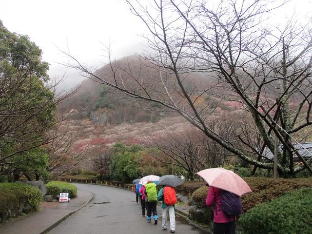 画像1: 3月2日に山旅会 幕山と南郷山 ツアーに行ってきました!