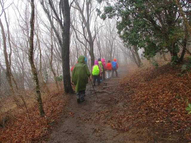画像8: 3月2日に山旅会 幕山と南郷山 ツアーに行ってきました!