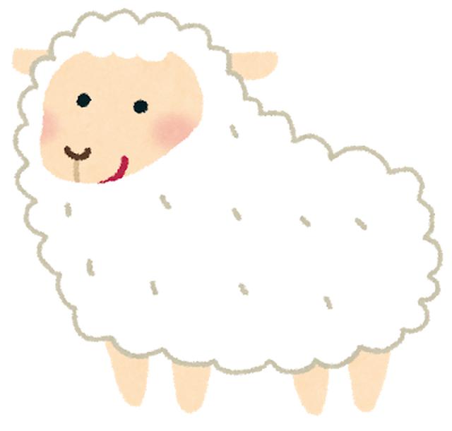 画像: 高級な羊毛です