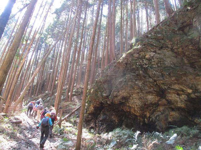 画像5: 3月3日に山旅会 堂上セツブンソウと破風山 のツアーに行ってきました!