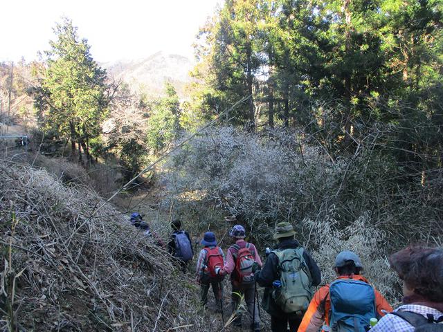 画像8: 3月3日に山旅会 堂上セツブンソウと破風山 のツアーに行ってきました!