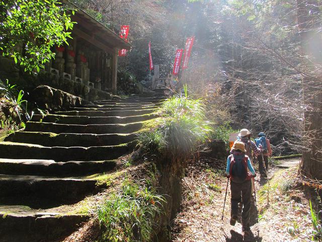 画像4: 3月3日に山旅会 堂上セツブンソウと破風山 のツアーに行ってきました!