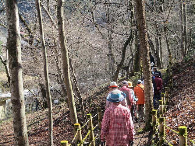 画像1: 3月3日に山旅会 堂上セツブンソウと破風山 のツアーに行ってきました!