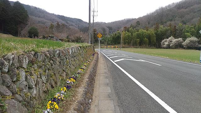 画像11: 3月の山旅会 仙元山から嵐山渓谷 ツアーの下見に行ってきました!