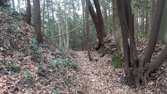 画像6: 3月の山旅会 仙元山から嵐山渓谷 ツアーの下見に行ってきました!