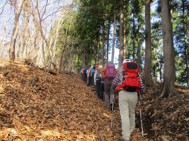 画像1: 3月9日に山旅会 高松山 ツアーに行ってきました!