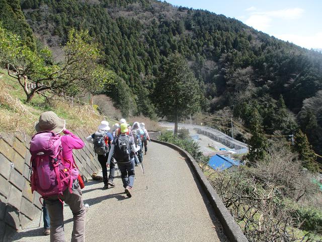 画像10: 3月9日に山旅会 高松山 ツアーに行ってきました!