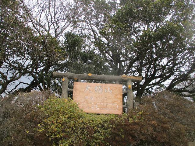 画像4: 3月7日に山旅会 大楠山から衣笠城跡 ツアーに行ってきました!