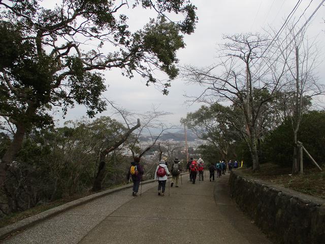 画像10: 3月7日に山旅会 大楠山から衣笠城跡 ツアーに行ってきました!