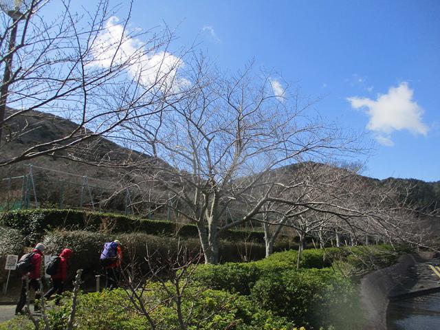 画像1: 3月5日から山旅会 「田原アルプスと神石山」 ツアーに行ってきました!