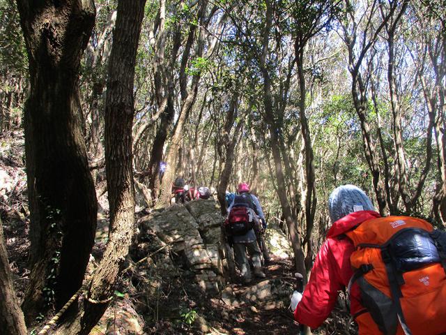 画像10: 3月5日から山旅会 「田原アルプスと神石山」 ツアーに行ってきました!