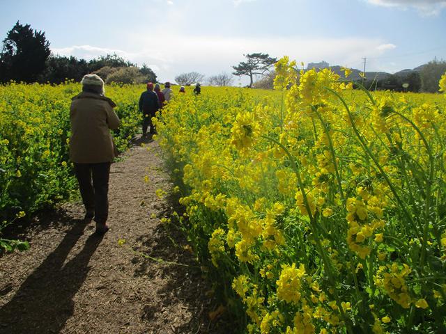 画像15: 3月5日から山旅会 「田原アルプスと神石山」 ツアーに行ってきました!