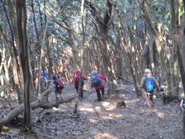 画像7: 3月5日から山旅会 「田原アルプスと神石山」 ツアーに行ってきました!
