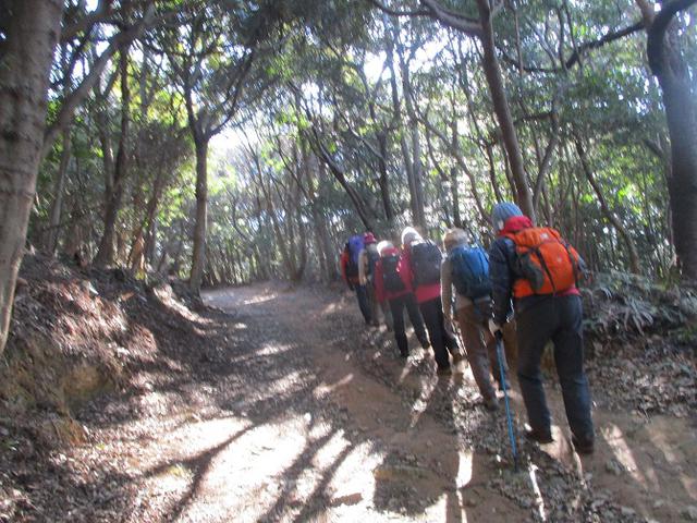画像2: 3月5日から山旅会 「田原アルプスと神石山」 ツアーに行ってきました!