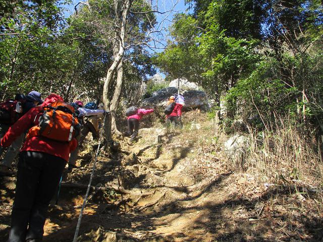 画像5: 3月5日から山旅会 「田原アルプスと神石山」 ツアーに行ってきました!