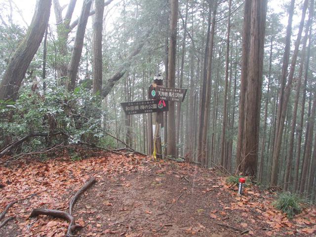 画像9: 4月の山旅会現地集合コース 天狗岩から要害山 の下見に行ってきました!