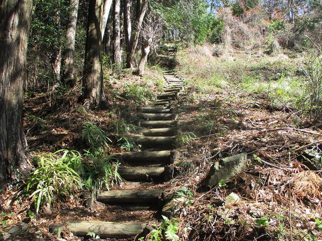 画像6: 3月の山旅会 「陣見山」 ツアーの下見のご報告です!