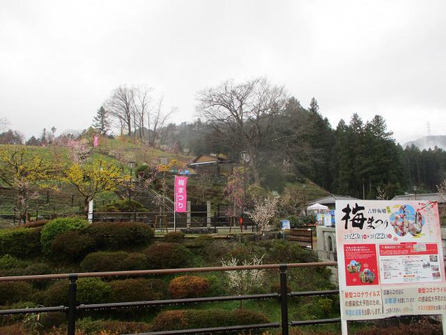 画像12: 4月の山旅会現地集合コース 天狗岩から要害山 の下見に行ってきました!