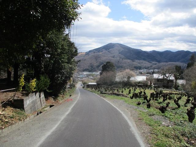 画像14: 3月の山旅会 「陣見山」 ツアーの下見のご報告です!