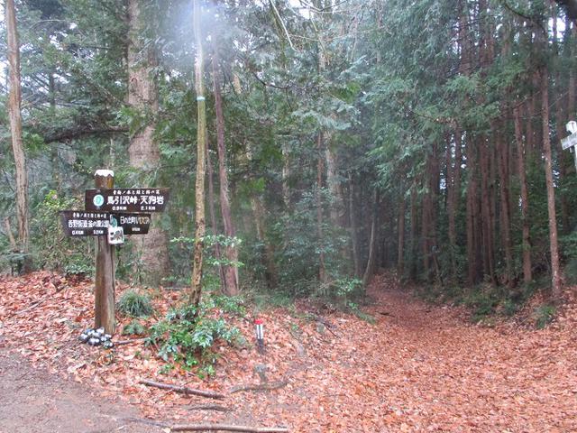 画像4: 4月の山旅会現地集合コース 天狗岩から要害山 の下見に行ってきました!