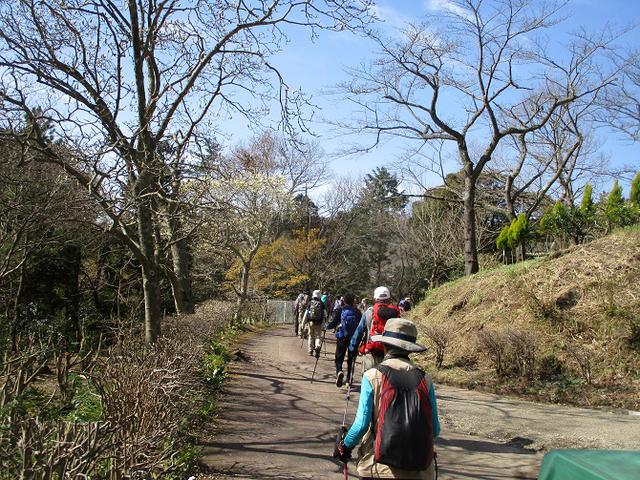 画像1: 3月13日に山旅会 「岩戸山」 ツアーに行ってきました!