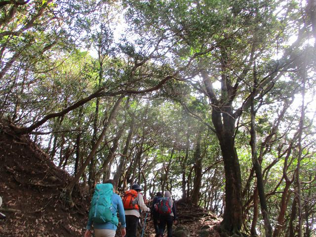画像3: 3月13日に山旅会 「岩戸山」 ツアーに行ってきました!