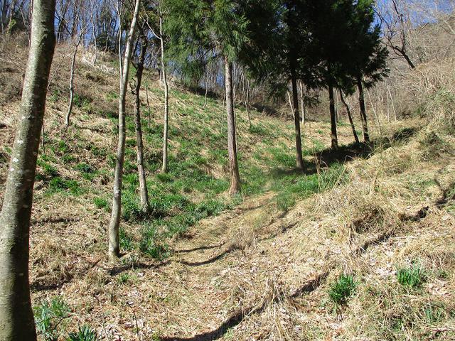 画像2: 3月の山旅会 「陣見山」 ツアーの下見のご報告です!