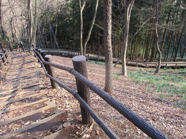 画像7: 3月の山旅会 三毳(みかも)山ツアー の下見に行ってきました!