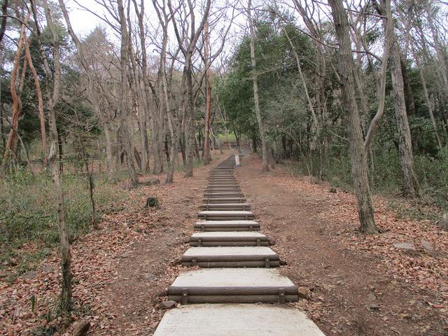 画像2: 3月の山旅会 三毳(みかも)山ツアー の下見に行ってきました!