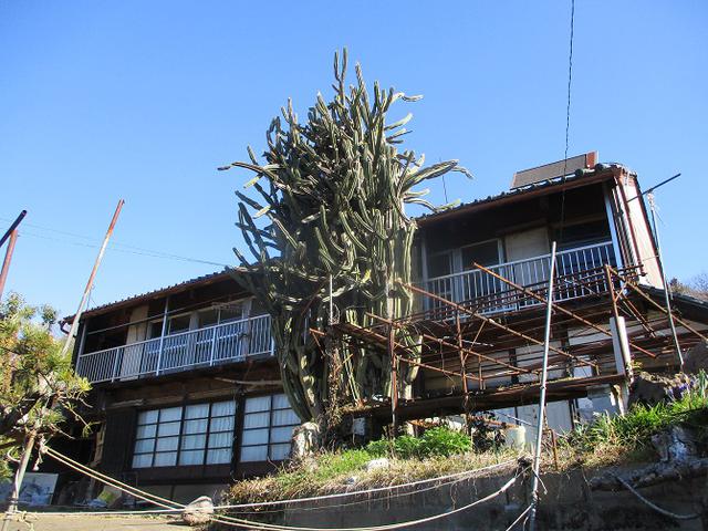 画像1: 4月の山旅会 神成山 の下見に行ってきました!