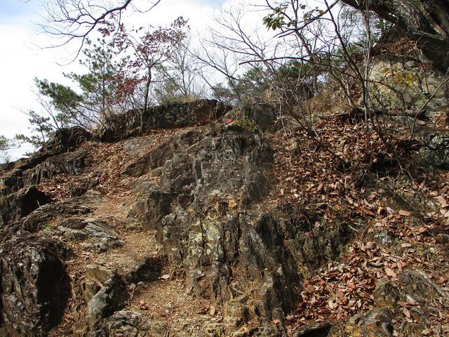 画像2: 4月の山旅会 両崖山から天狗山 ツアーの下見に行ってきました!