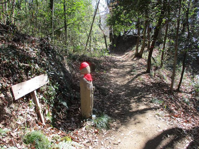 画像10: 4月の山旅会 神成山 の下見に行ってきました!