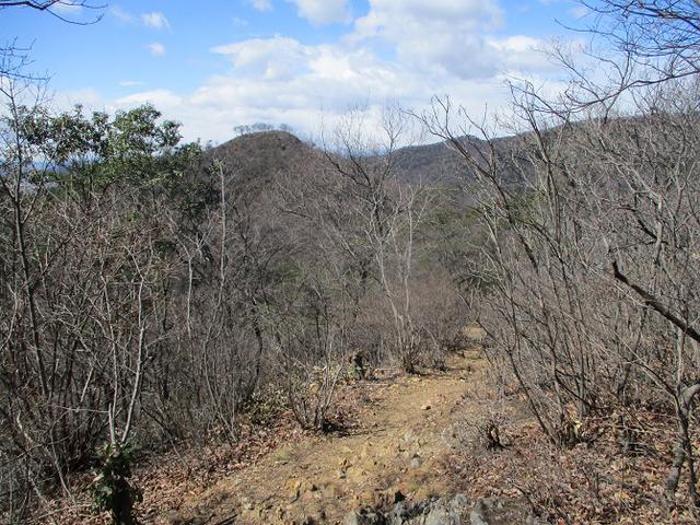 画像6: 4月の山旅会 両崖山から天狗山 ツアーの下見に行ってきました!