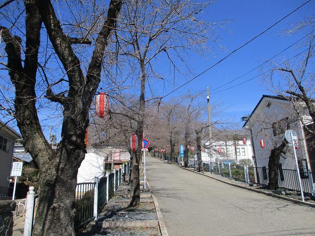 画像13: 4月の山旅会 神成山 の下見に行ってきました!