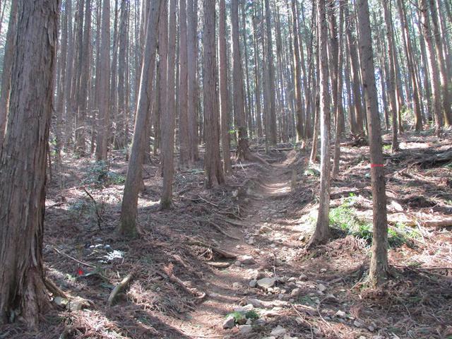 画像1: 企画素材を探して西武線沿線の 大高山から天覚山 を歩いてみました!