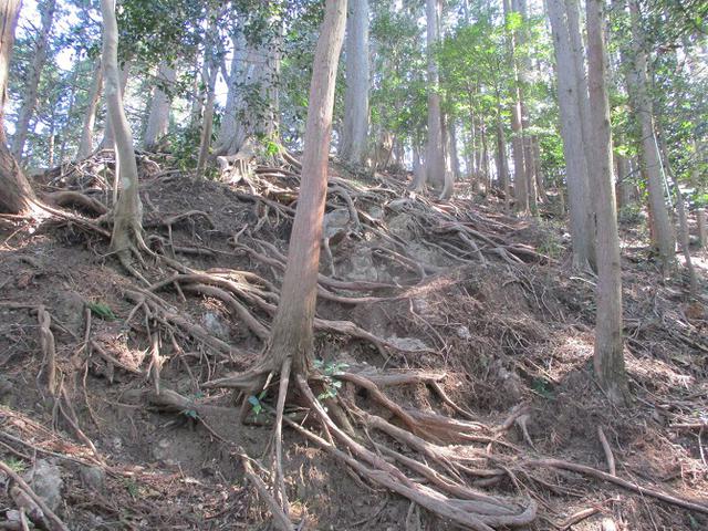 画像5: 企画素材を探して西武線沿線の 大高山から天覚山 を歩いてみました!