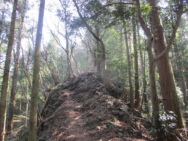 画像4: 企画素材を探して西武線沿線の 大高山から天覚山 を歩いてみました!