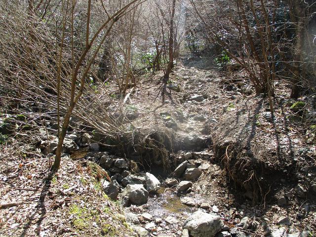 画像9: 4月の山旅会・現地集合ツアー西山峠から草戸山ツアーの下見に行ってきました!
