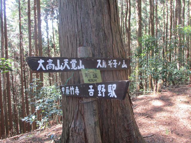 画像2: 企画素材を探して西武線沿線の 大高山から天覚山 を歩いてみました!