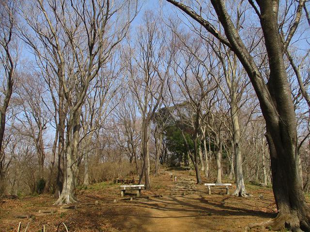 画像2: 4月の山旅会 雪入山 ツアーの下見に行ってきました!