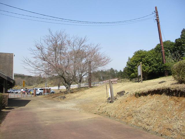 画像11: 4月の山旅会 雪入山 ツアーの下見に行ってきました!
