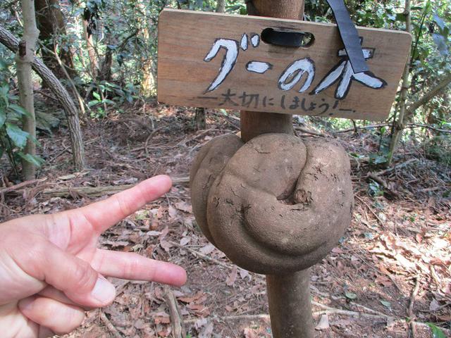 画像12: 4月の山旅会 雪入山 ツアーの下見に行ってきました!