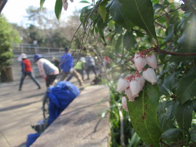 画像2: 三かも山ツアーに行ってきました!(その1)